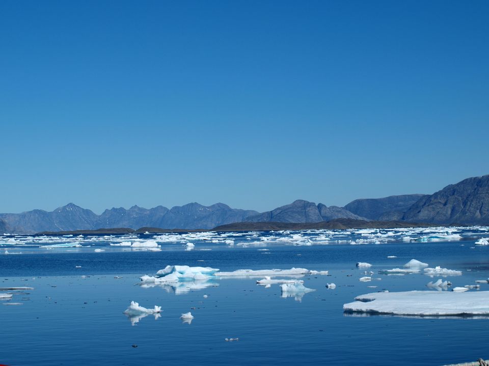 Icebergs in the arctic.